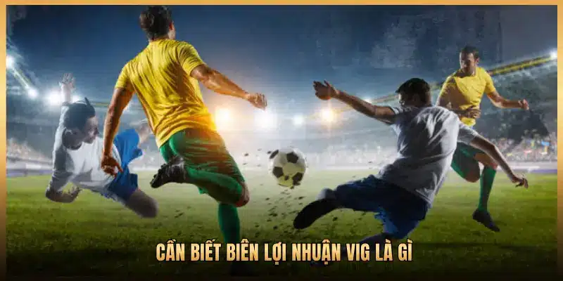 CẦN BIẾT BIÊN LỢI NHUẬN VIG LÀ GÌ