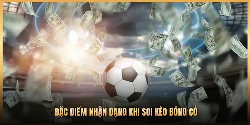 ĐẶC ĐIỂM NHẬN DẠNG KHI SOI KÈO BÓNG CỎ