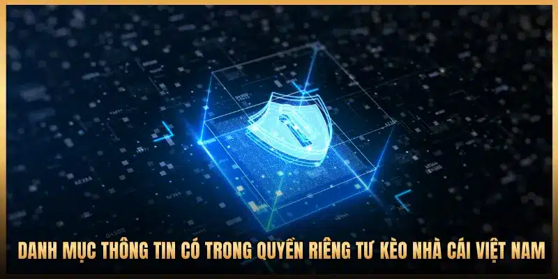 DANH MỤC THÔNG TIN CÓ TRONG QUYỀN RIÊNG TƯ KÈO NHÀ CÁI VIỆT NAM