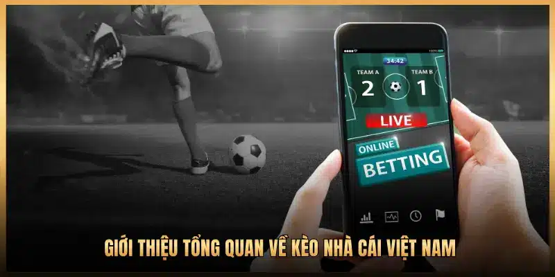 GIỚI THIỆU TỔNG QUAN VỀ KÈO NHÀ CÁI VIỆT NAM