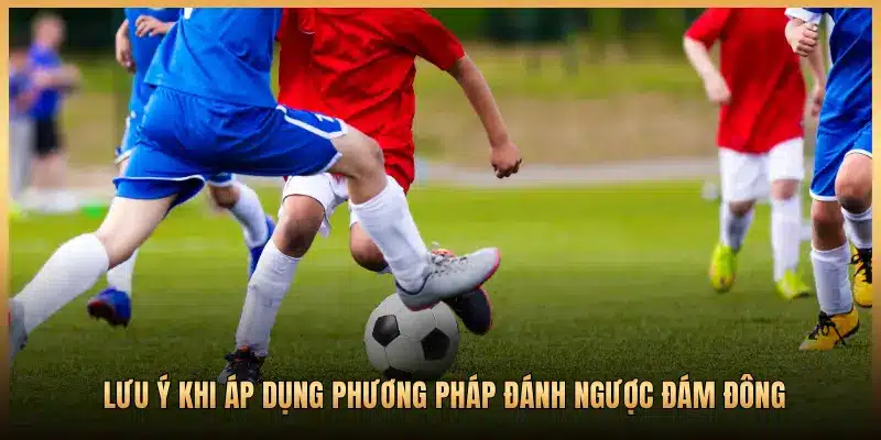 LƯU Ý KHI ÁP DỤNG PHƯƠNG PHÁP ĐÁNH NGƯỢC ĐÁM ĐÔNG
