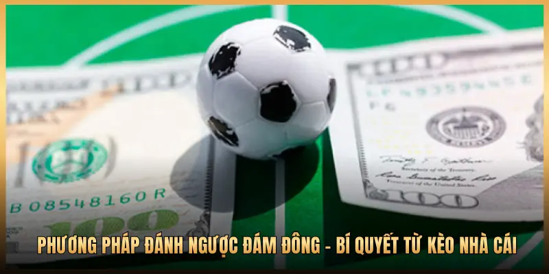 Phương Pháp Đánh Ngược Đám Đông – Bí Quyết Từ Kèo Nhà Cái